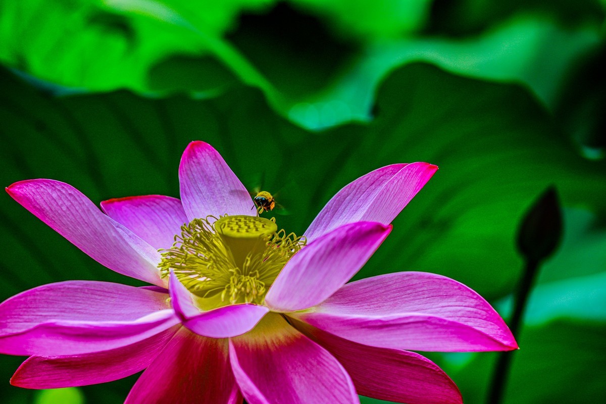 回顾拍照的过程