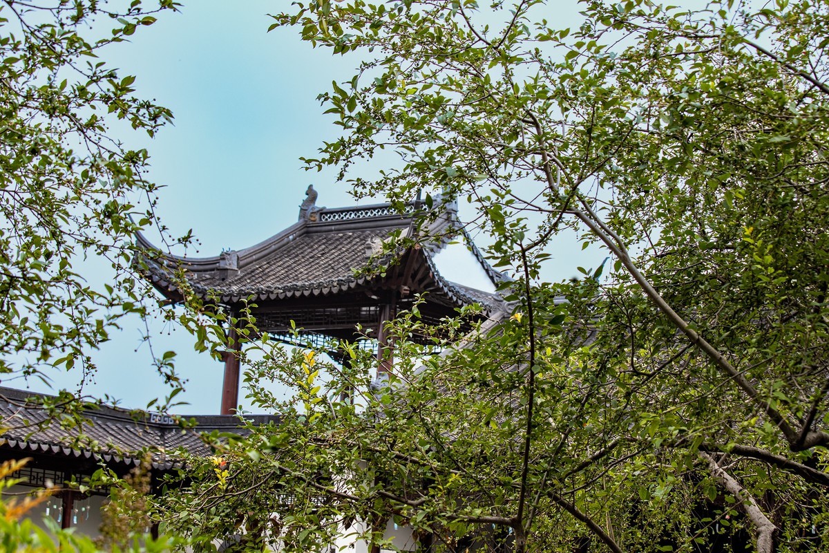 回顾拍照的过程