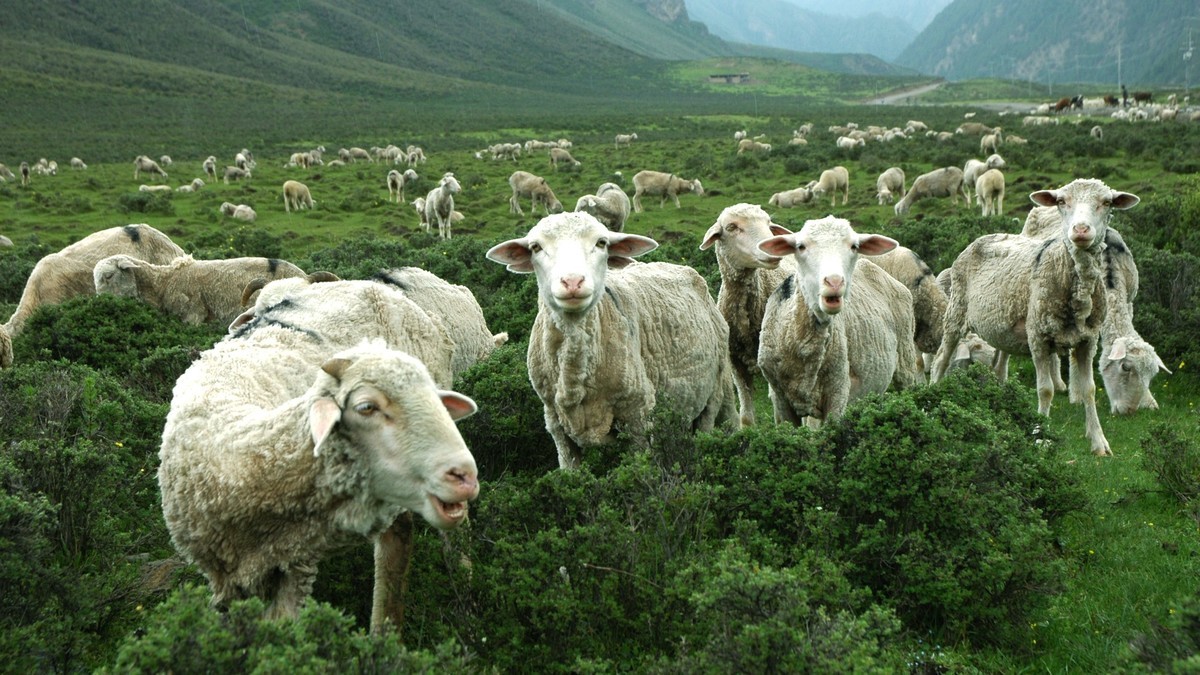 甘肃天祝藏族自治县石门景区掠影
