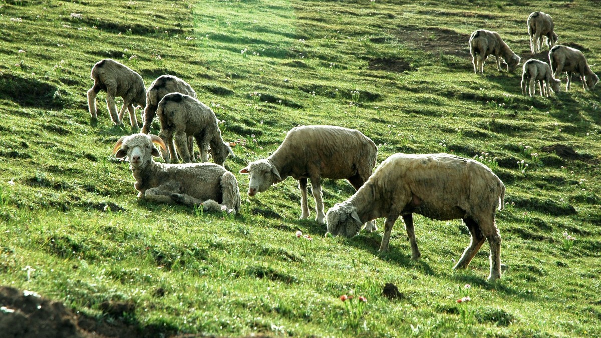 甘肃天祝藏族自治县石门景区掠影