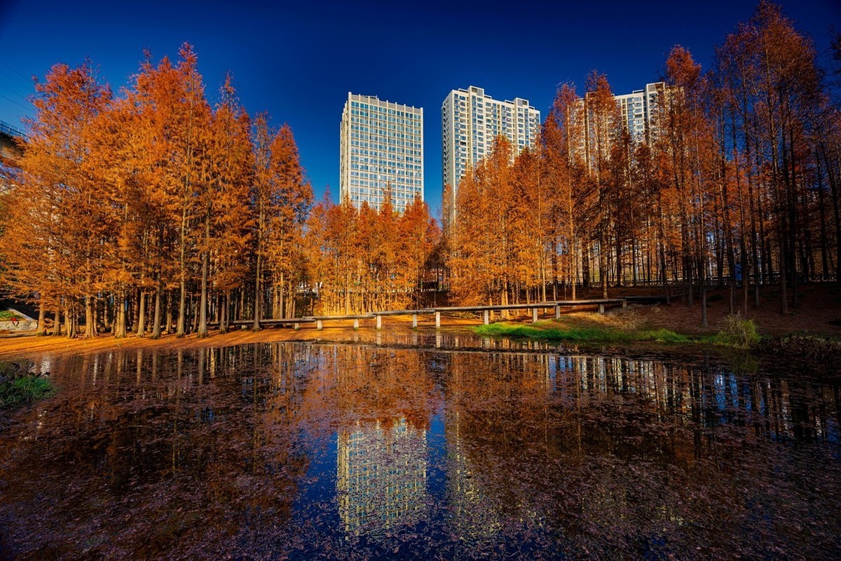 尼康尼克尔 Z 14-24mm f/2.8 S镜头试镜2