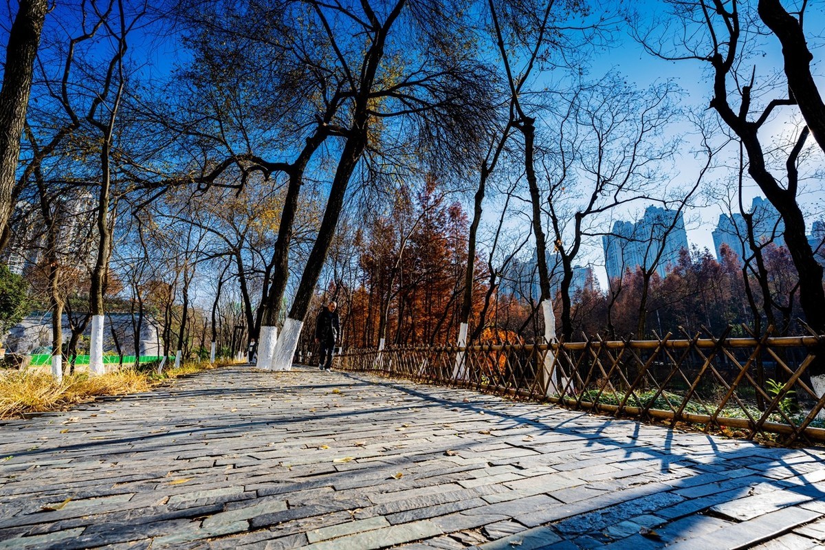 尼康尼克尔 Z 14-24mm f/2.8 S镜头试镜2