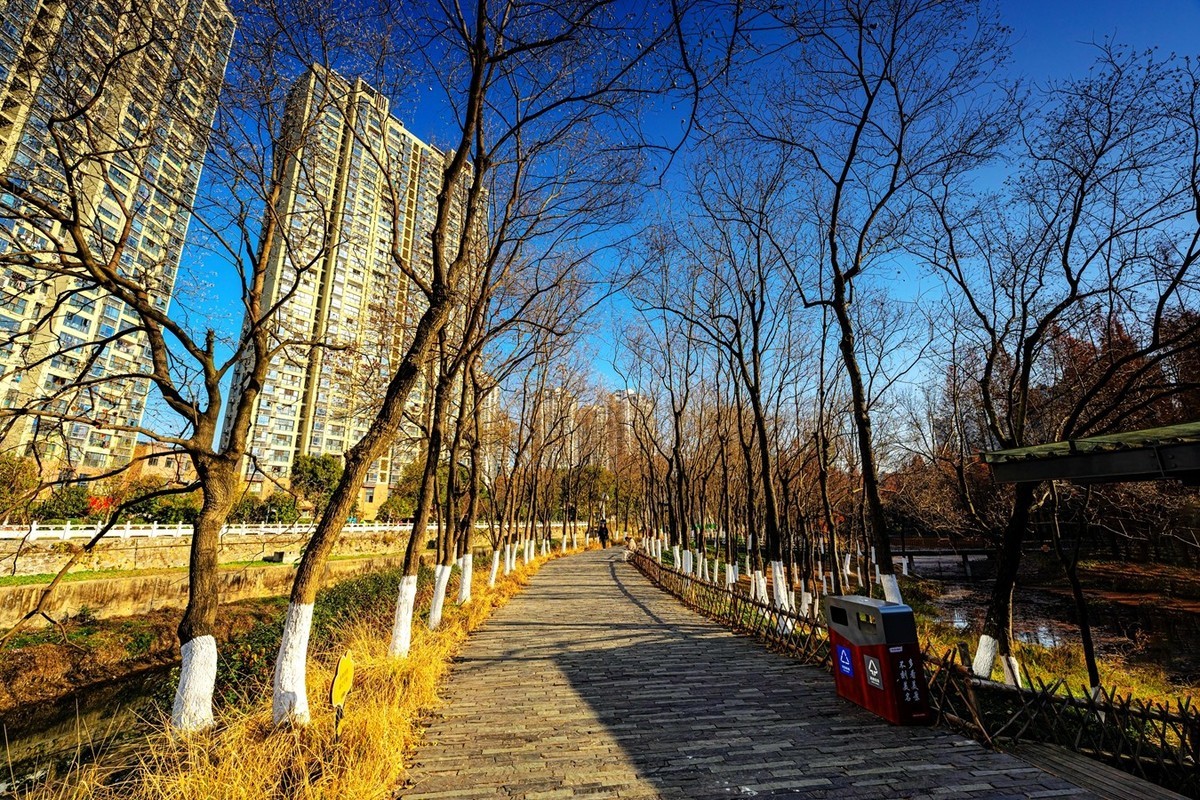 尼康尼克尔 Z 14-24mm f/2.8 S镜头试镜2