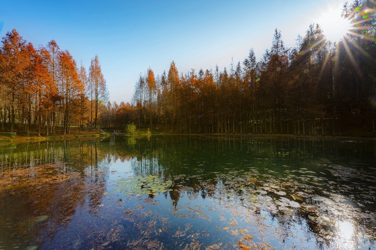 尼康尼克尔 Z 14-24mm f/2.8 S镜头试镜2