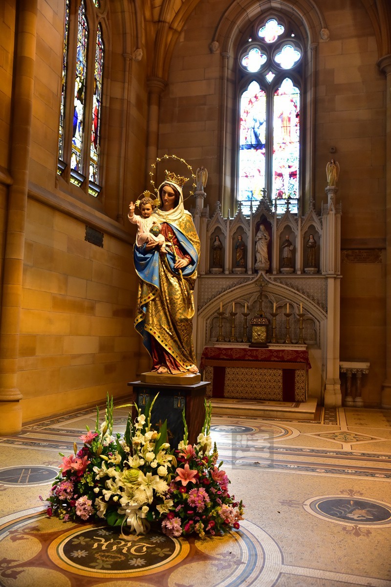 悉尼圣玛利亚教堂内景澳洲印象