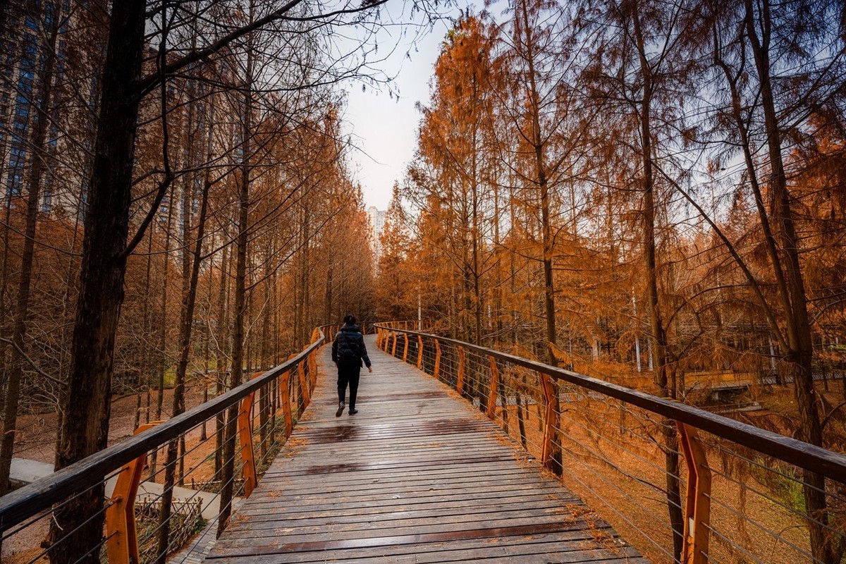 尼康尼克尔 Z 14-24mm f/2.8 S镜头试镜2