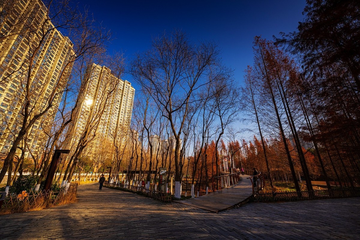 尼康尼克尔 Z 14-24mm f/2.8 S镜头试镜2