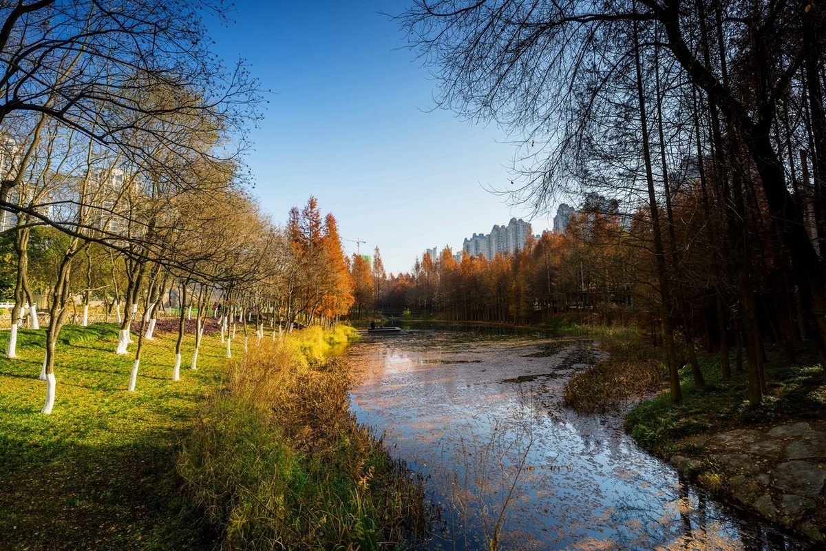 尼康尼克尔 Z 14-24mm f/2.8 S镜头试镜2
