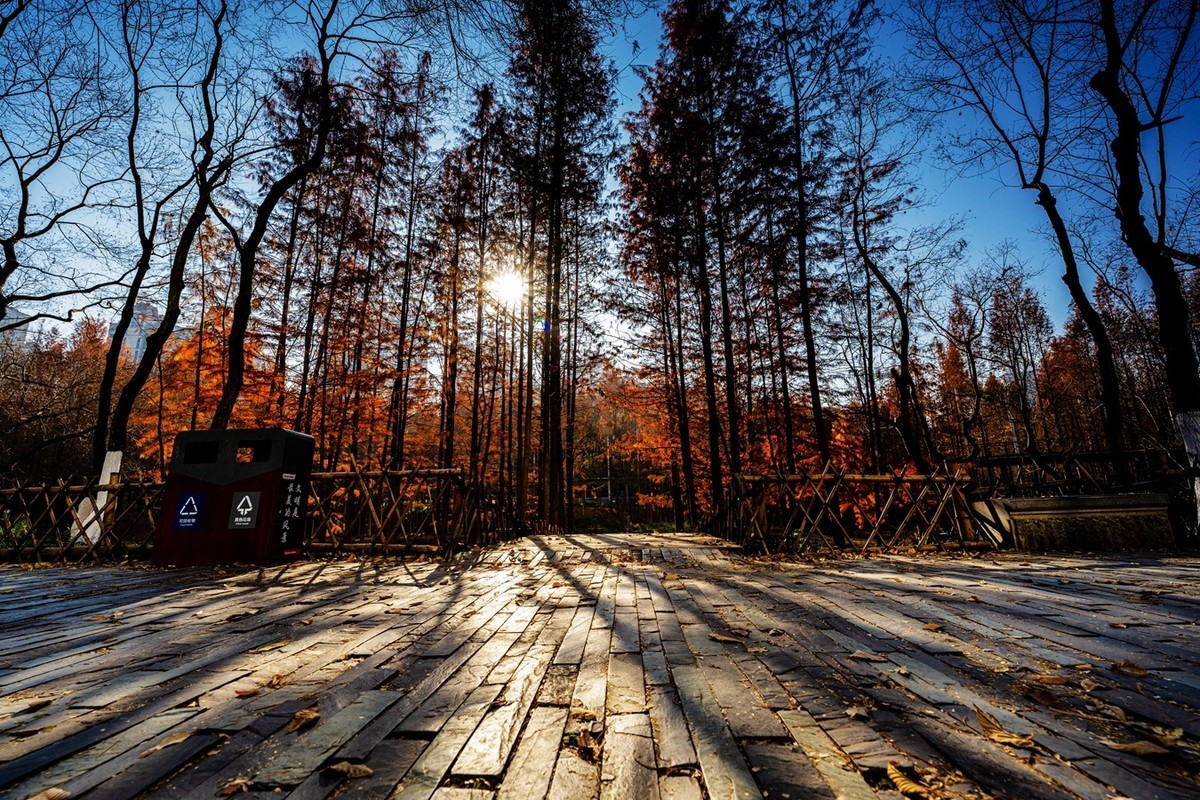 尼康尼克尔 Z 14-24mm f/2.8 S镜头试镜2
