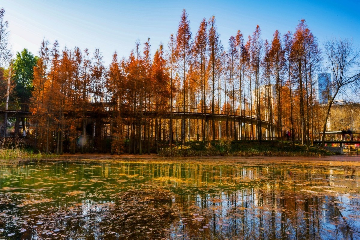 尼康尼克尔 Z 14-24mm f/2.8 S镜头试镜2