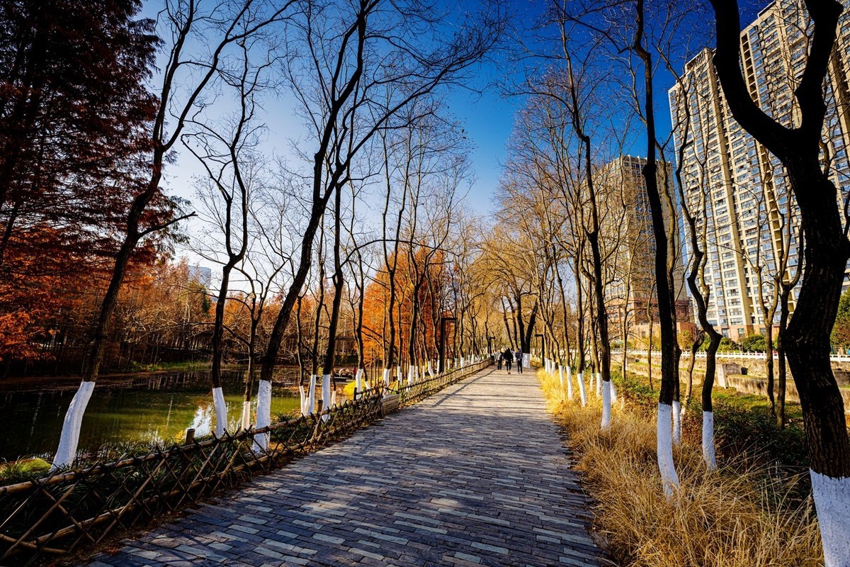 尼康尼克尔 Z 14-24mm f/2.8 S镜头试镜2