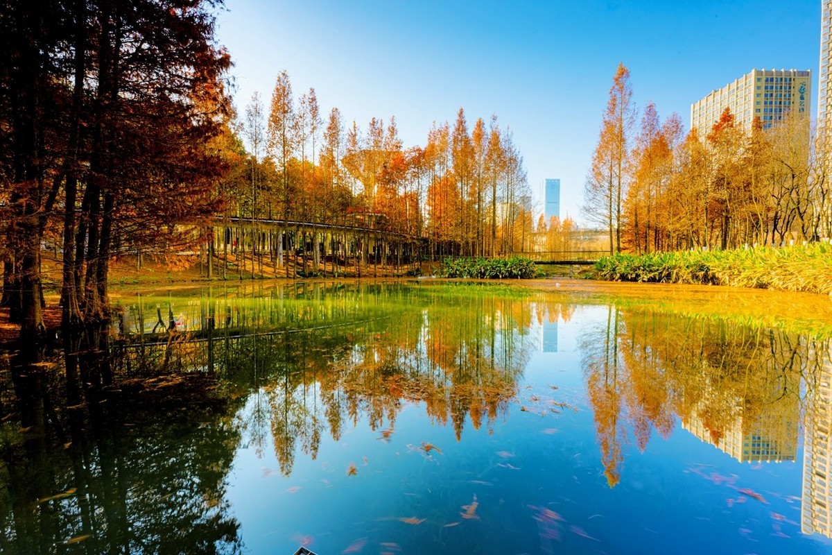 尼康尼克尔 Z 14-24mm f/2.8 S镜头试镜2