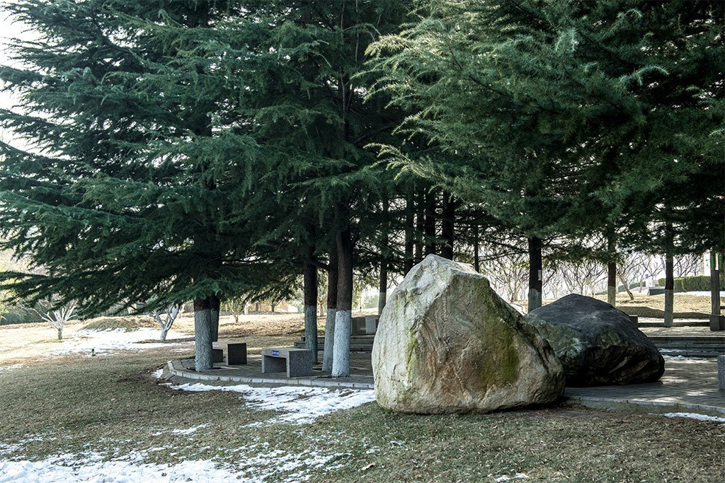 青松顽石残雪