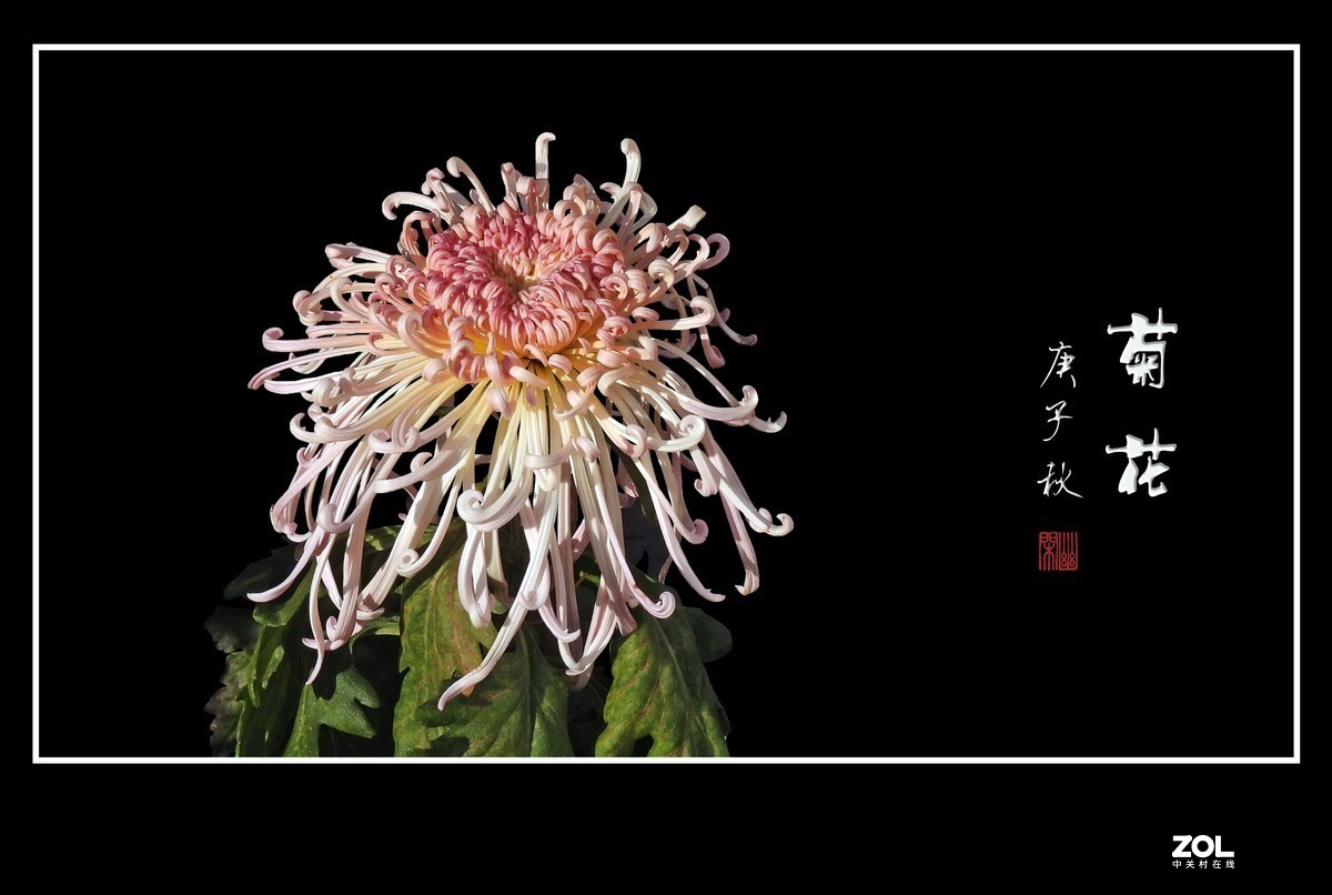 #版主坐堂#小五星空(中国)2021年1 月精品荟萃