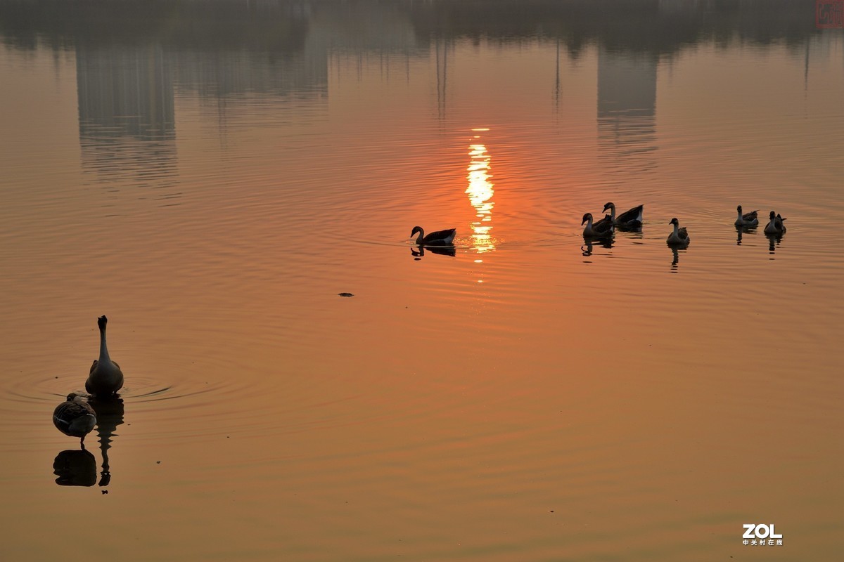 #版主坐堂#小五星空(中国)2021年1 月精品荟萃