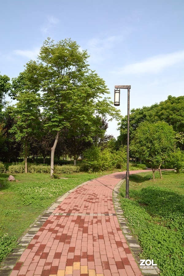 暮春夏初雨后湿地公园