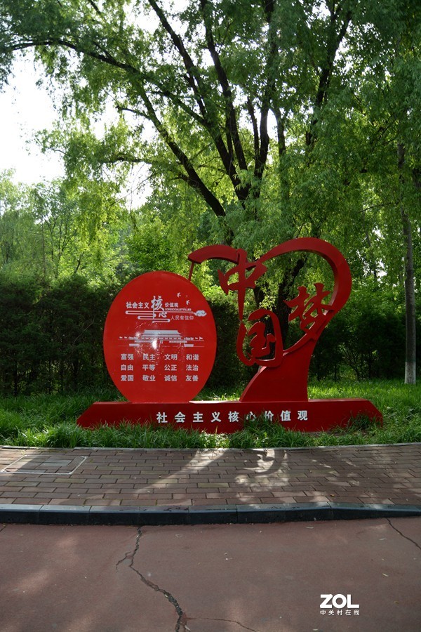 暮春夏初雨后湿地公园