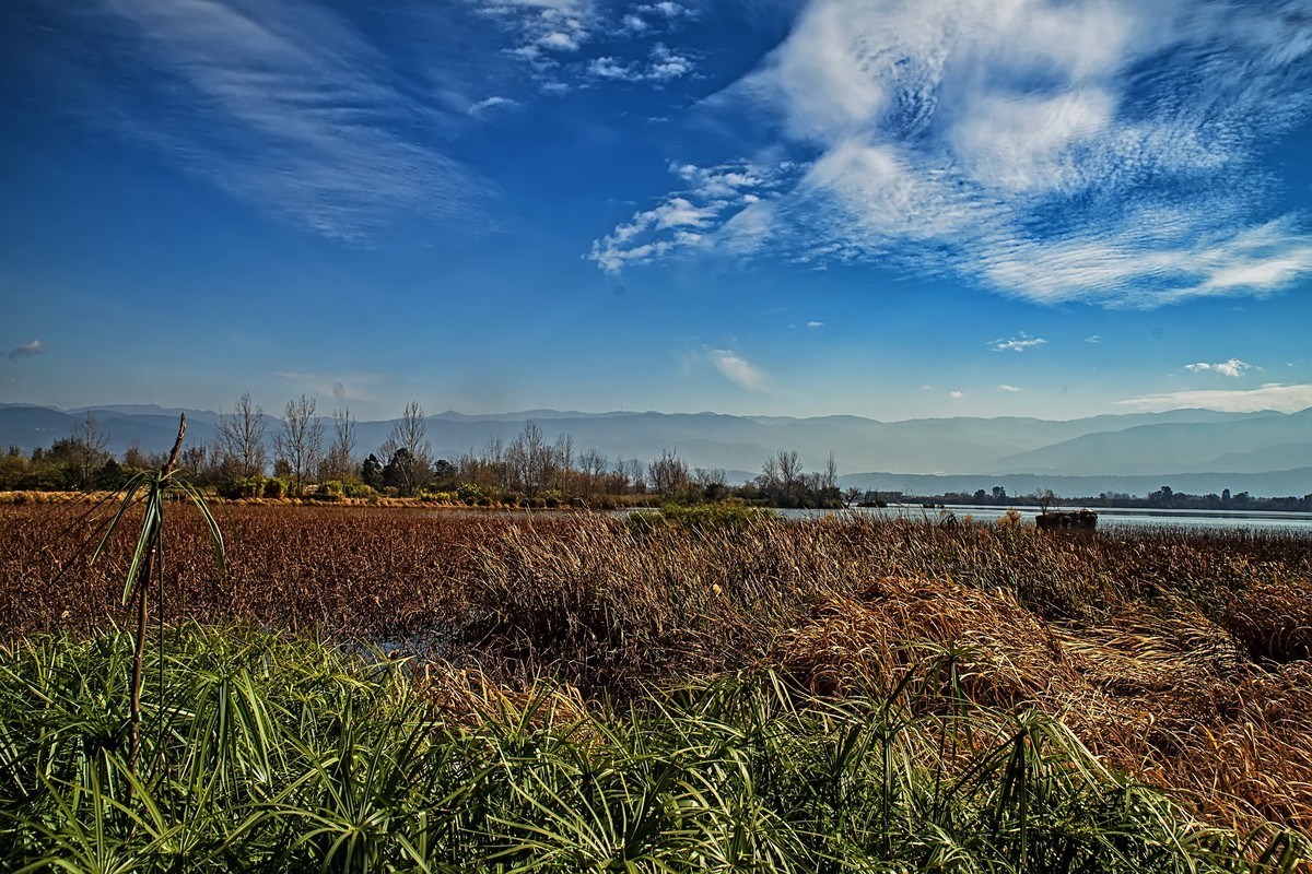 四川西昌邛海溼地2