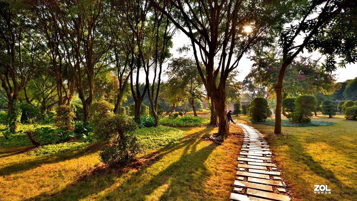 #版主坐堂#小五星空(中国)2021年1 月精品荟萃