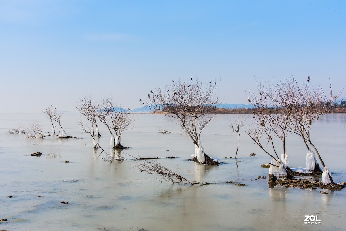 #版主坐堂#小五星空(中国)2021年1 月精品荟萃