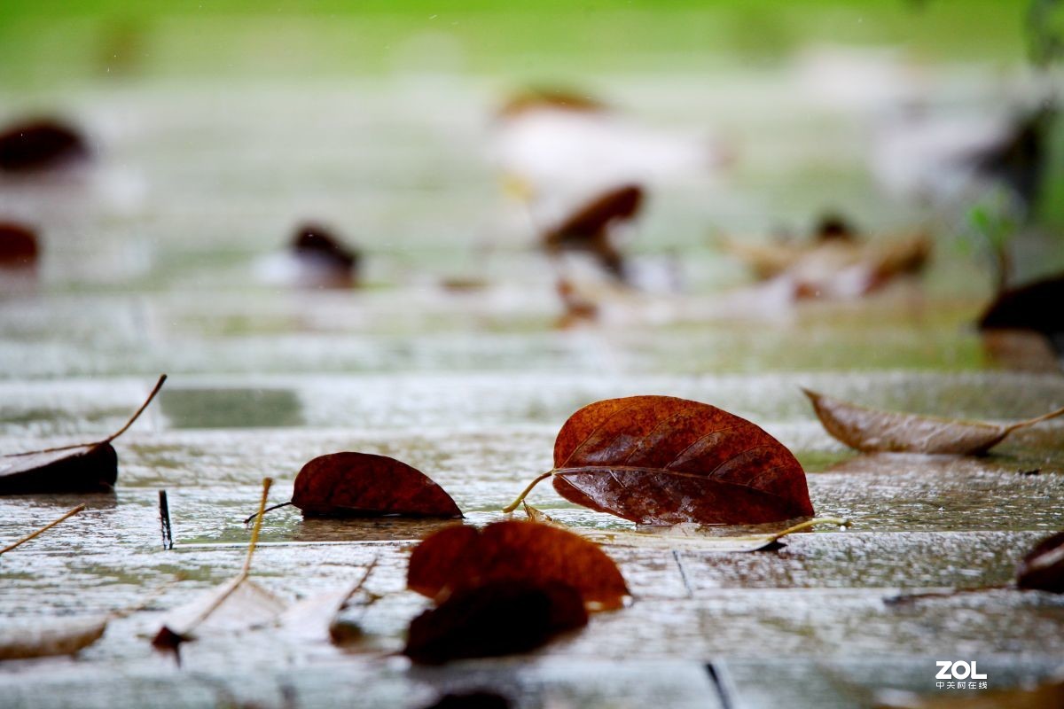 突遇降雨，在风雨亭里随拍