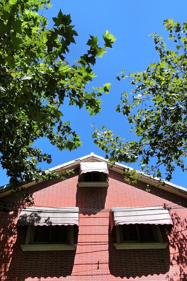 赤日炎炎去扫街