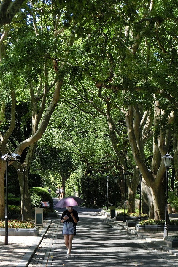 赤日炎炎去扫街