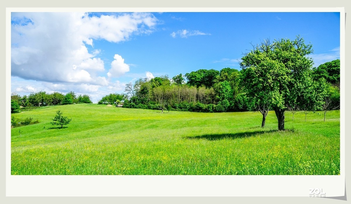 绿野田园