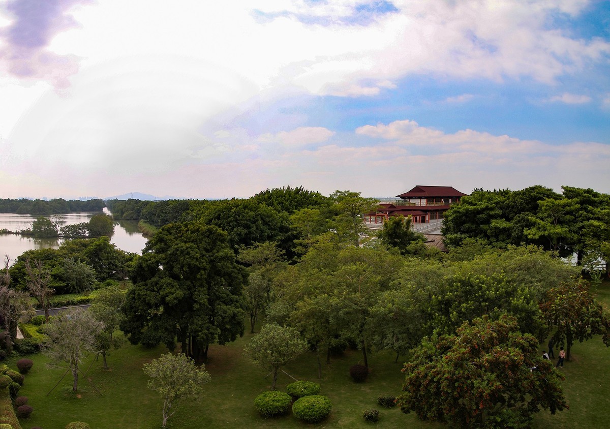广州南沙湿地公园-中关村在线摄影论坛