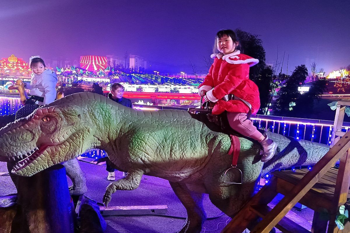 手机片——逛自贡灯会（完结篇）