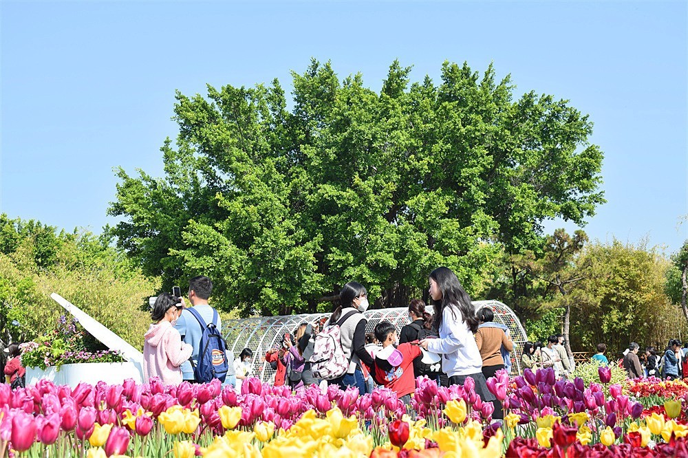 ··走走拍拍·a11·