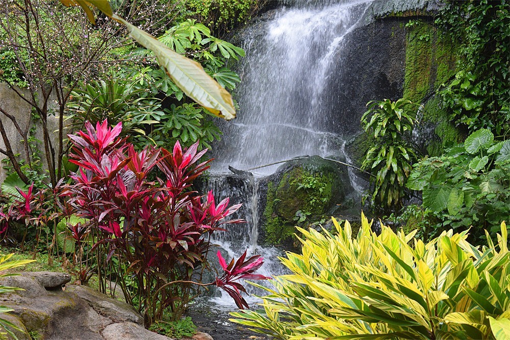 ··走走拍拍·a11·