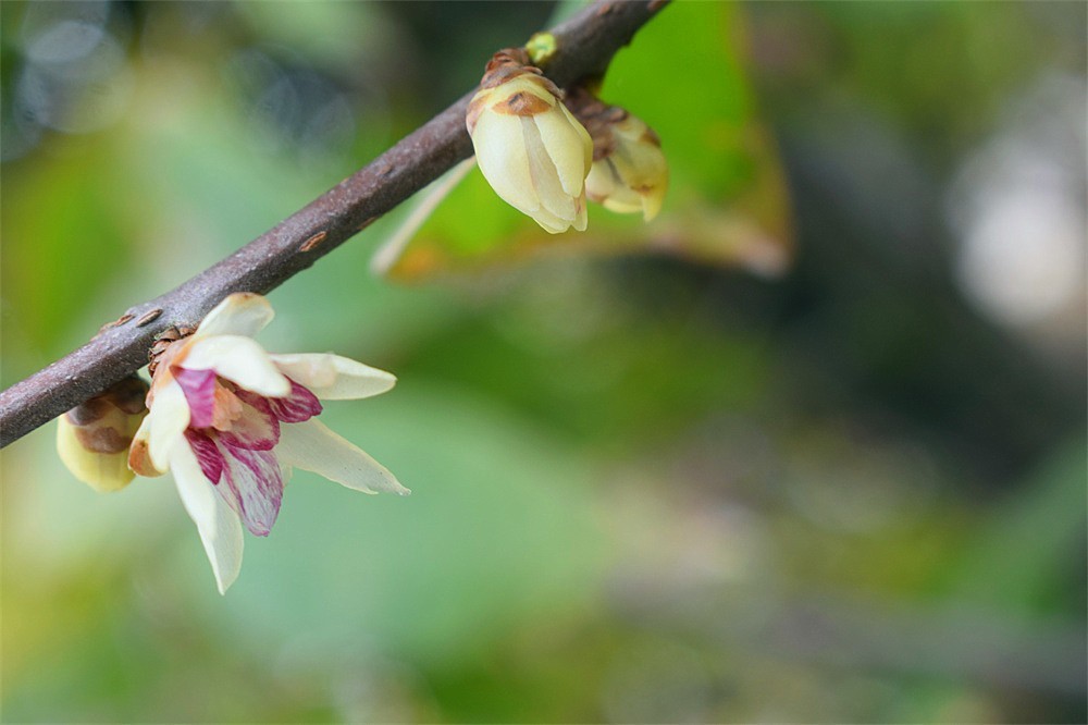 ··走走拍拍·a11·