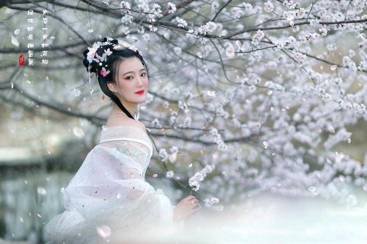 人面桃花相映红