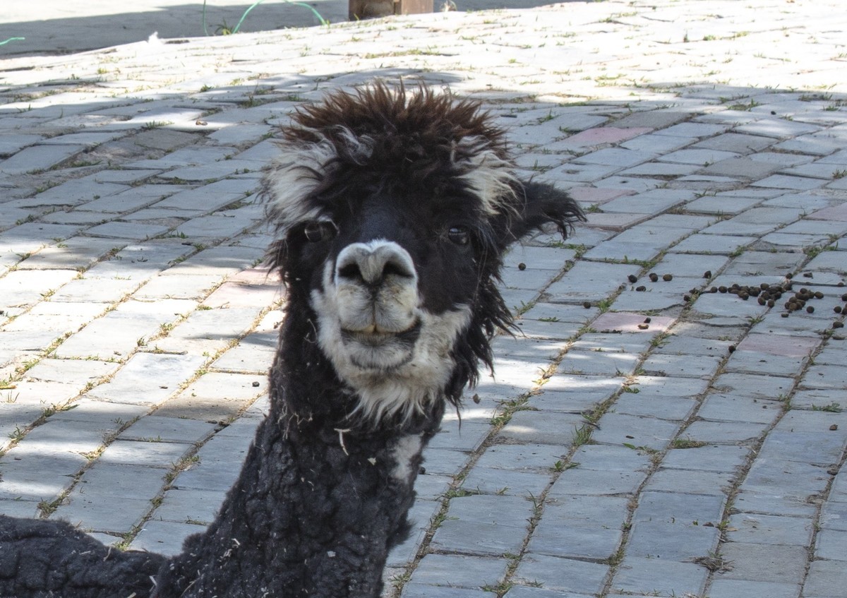 洪泽湖湿地公园5