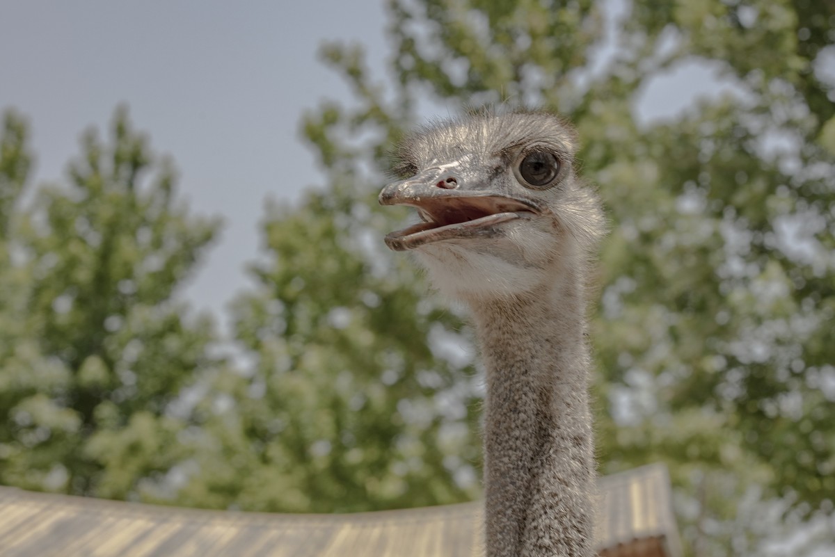 洪泽湖湿地公园5