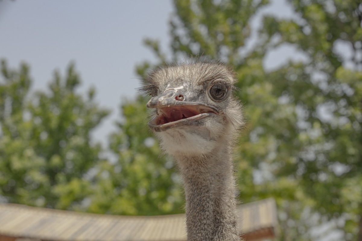 洪泽湖湿地公园5