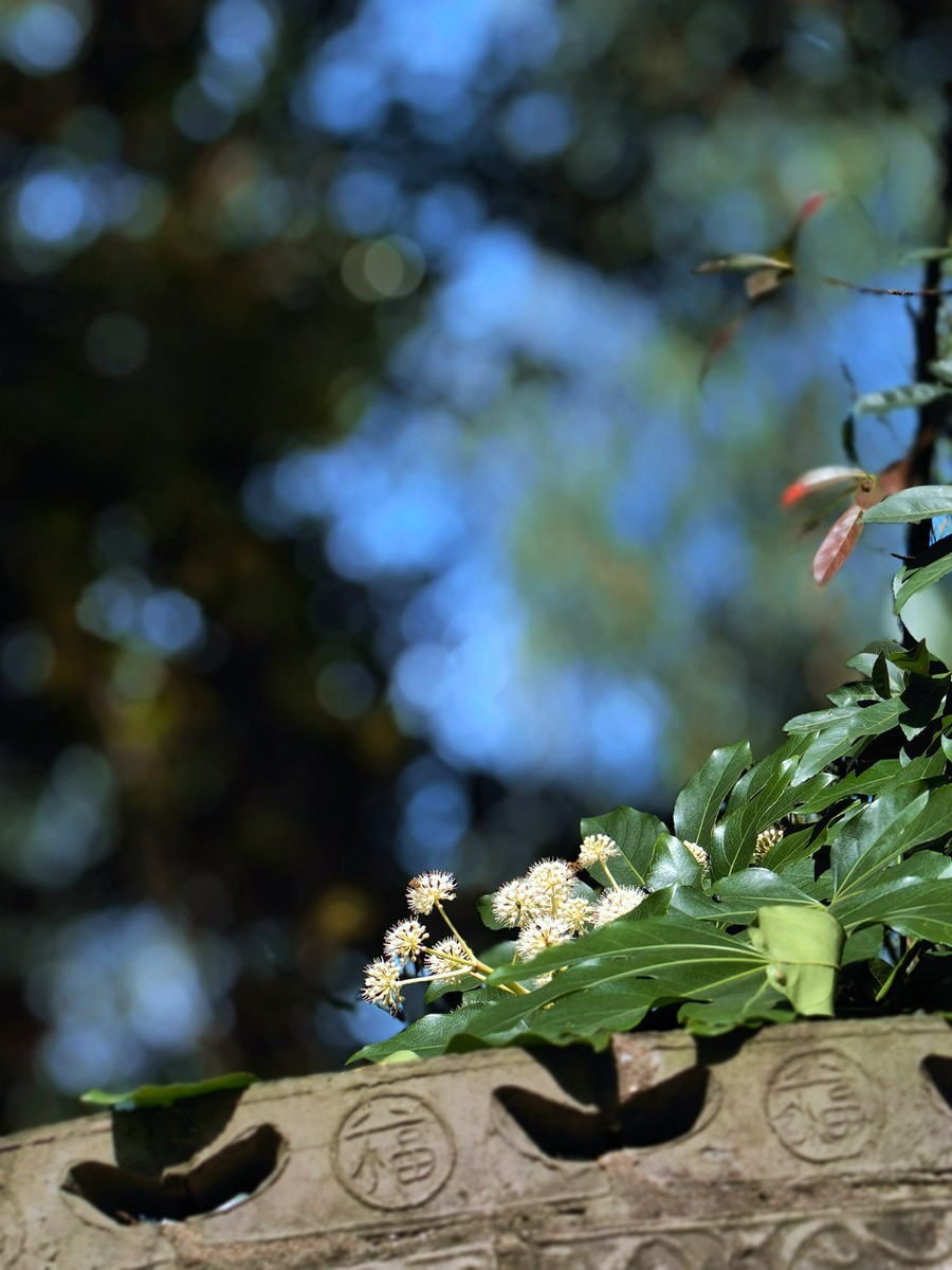 城市光影碎片之六十四