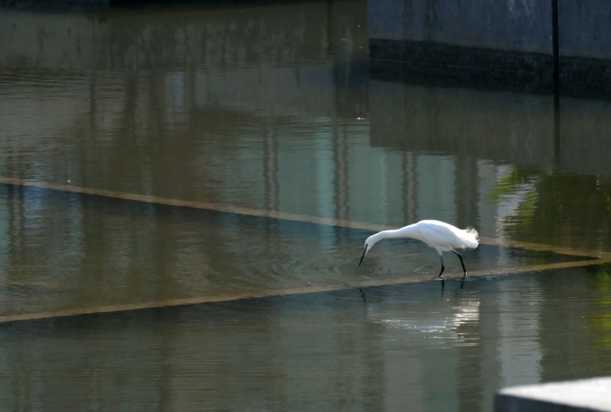 城市光影碎片之七十三