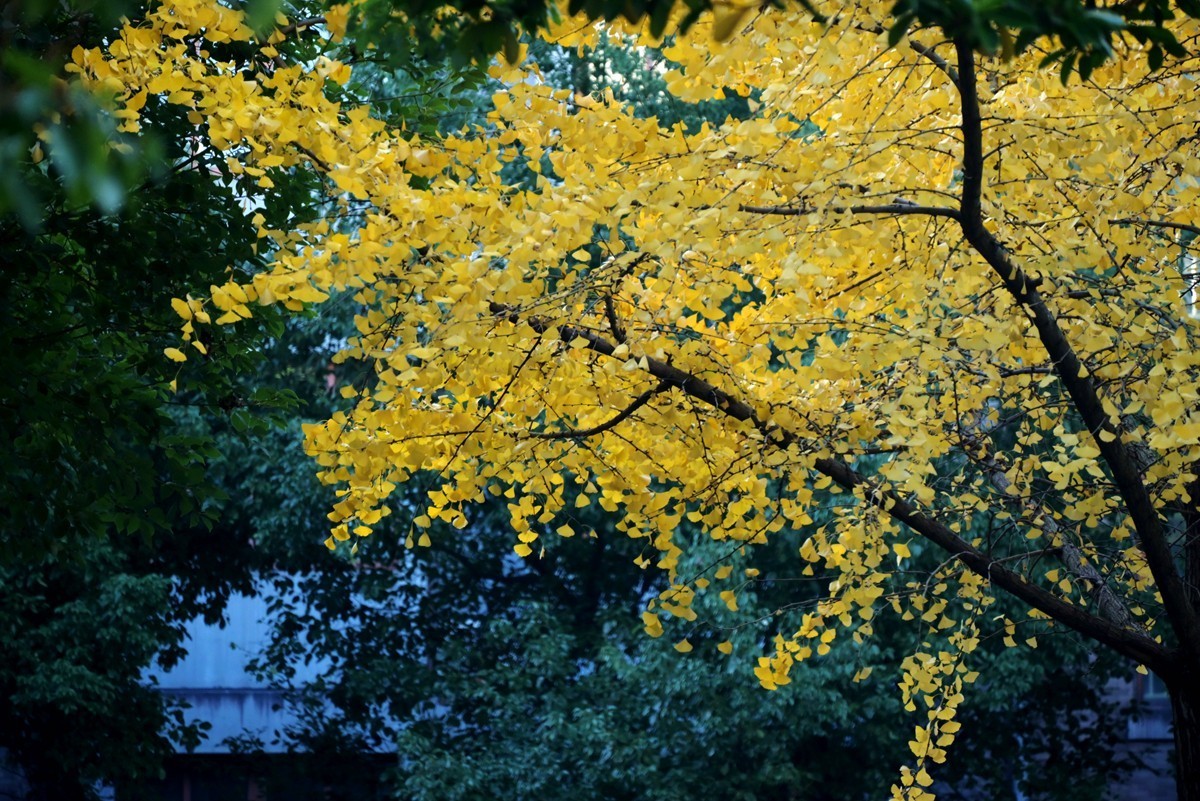 城市光影碎片之七十三