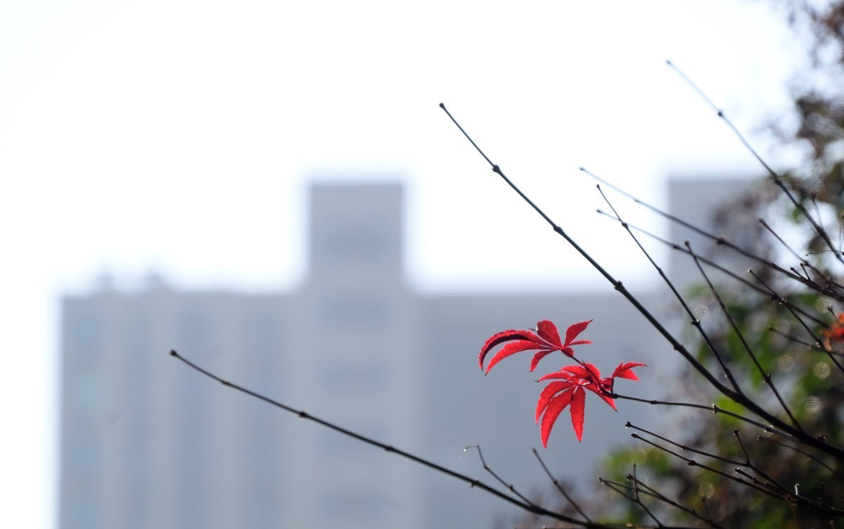 城市光影碎片之七十三