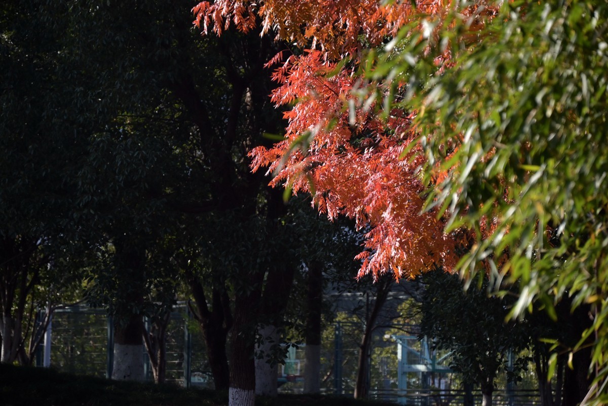 城市光影碎片之七十三