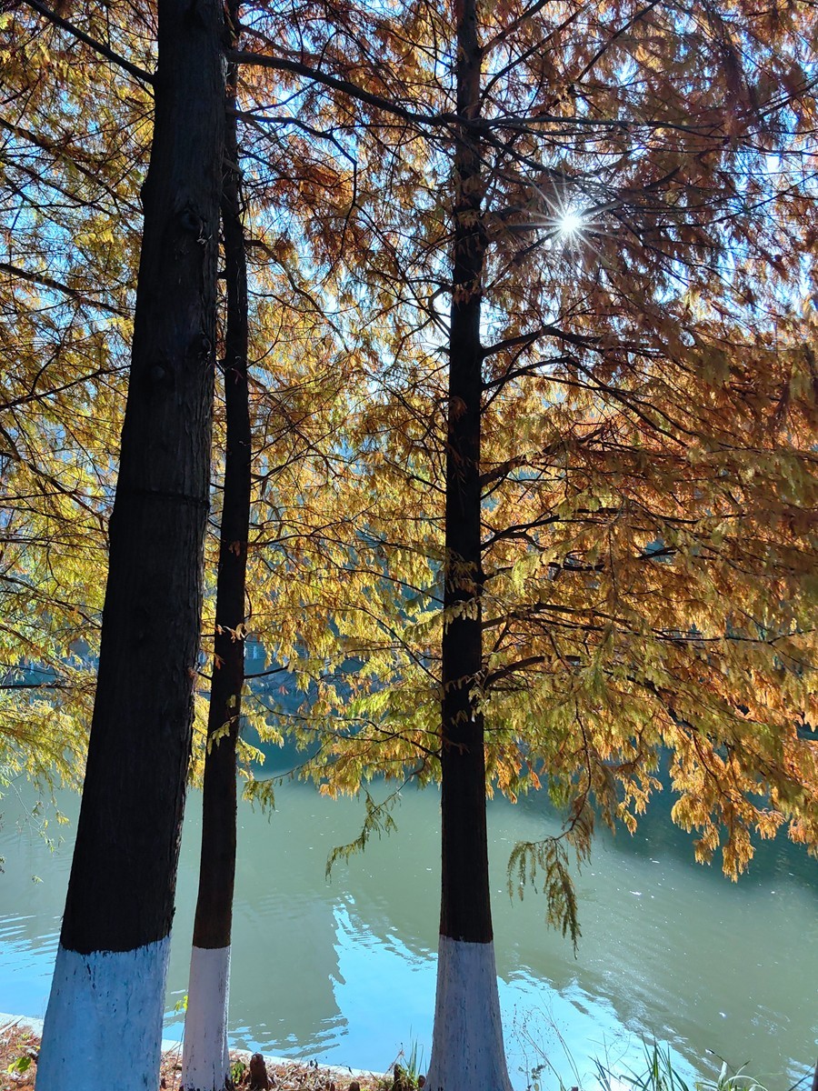 城市光影碎片之七十三