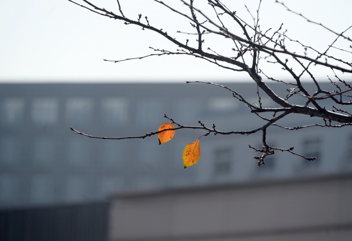 城市光影碎片之七十三