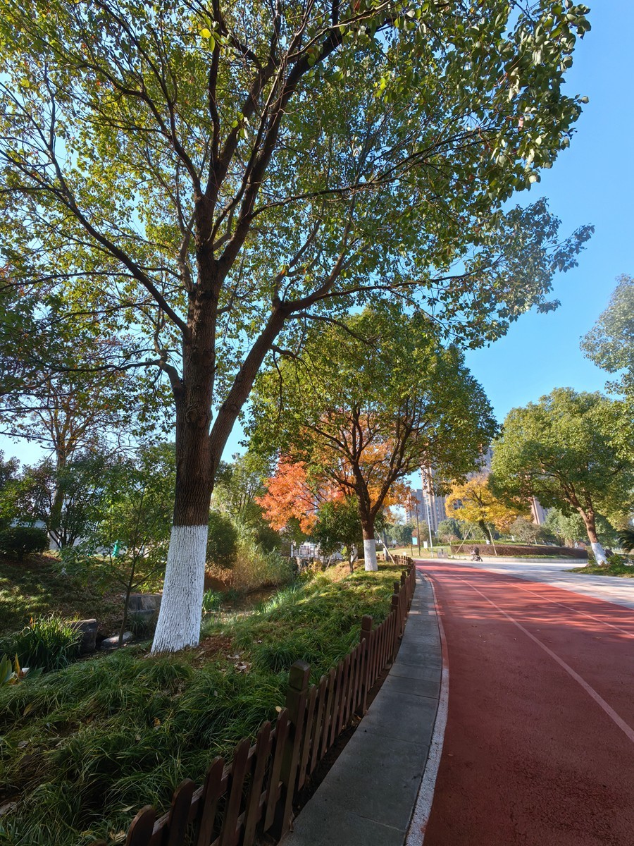 城市光影碎片之七十三