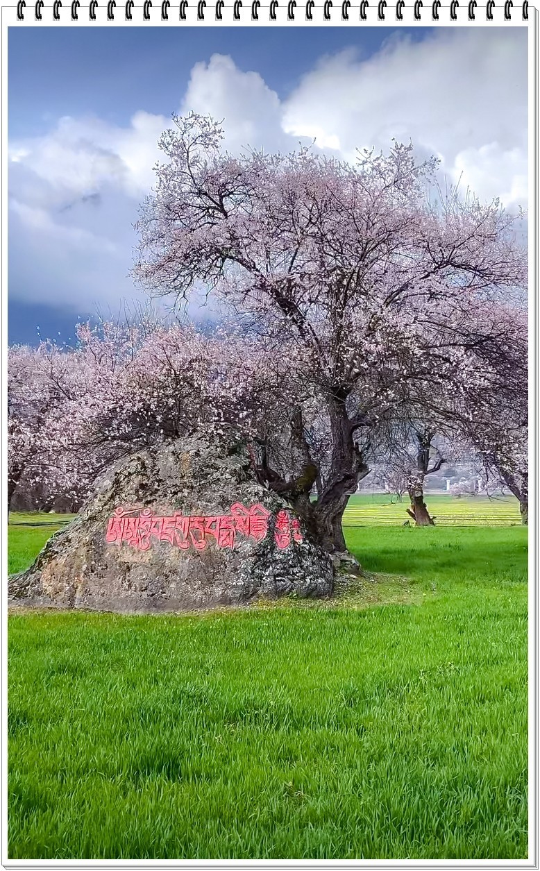 2025年- 西藏林芝风光纪实抓拍-0354