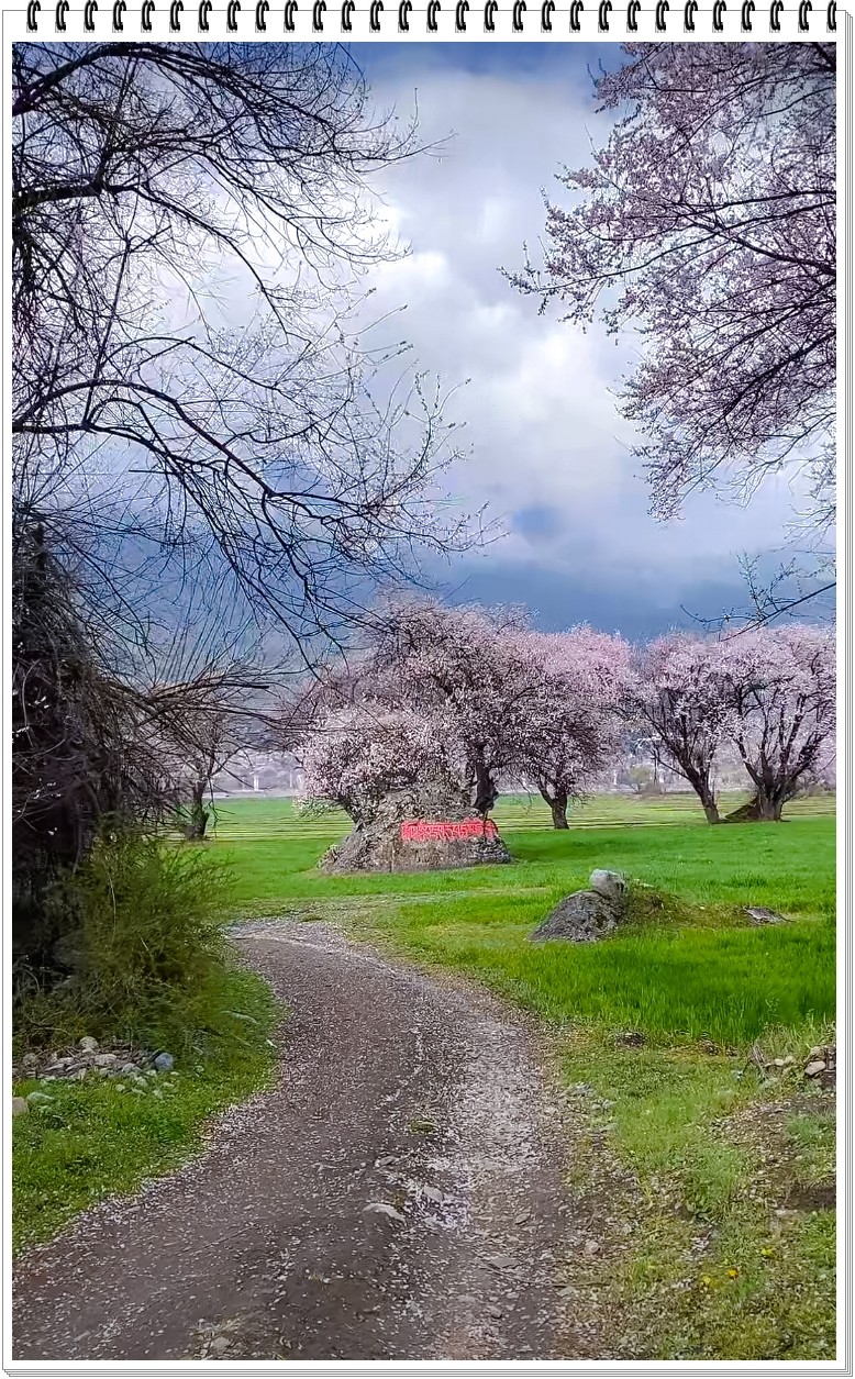 2025年- 西藏林芝风光纪实抓拍-0354