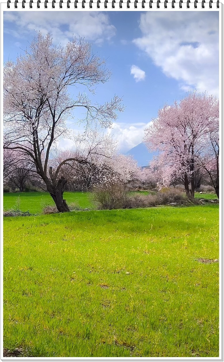 2025年- 西藏林芝风光纪实抓拍-0354