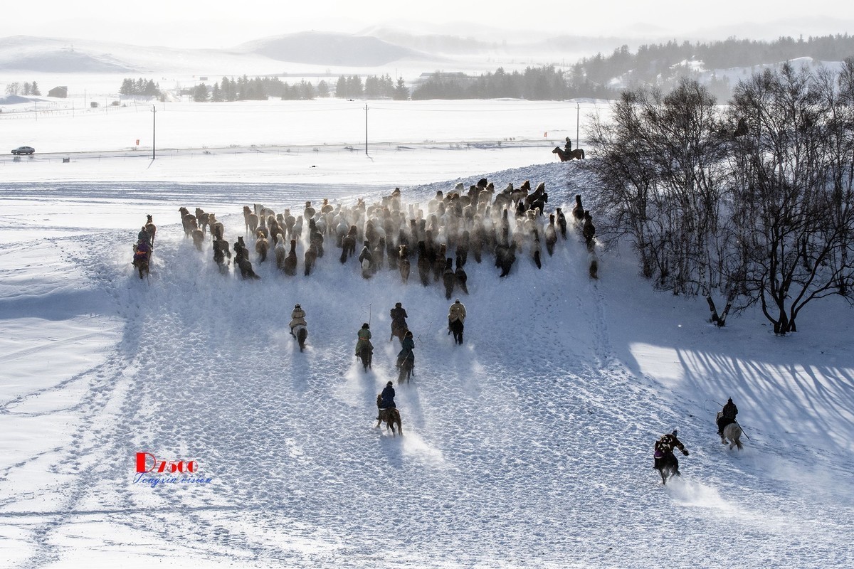#版主坐堂#索尼大版星空(中国)2025年 4 月份优秀作品精选汇总