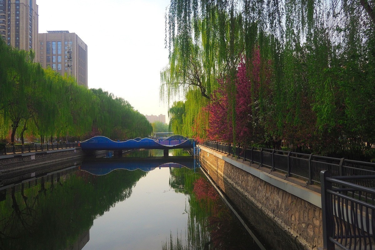 #版主坐堂#索尼大版星空(中国)2025年 4 月份优秀作品精选汇总